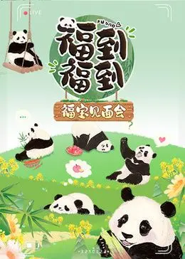 《福到福到福宝见面会》：见证熊猫宝宝的成长奇迹，萌化你的心！