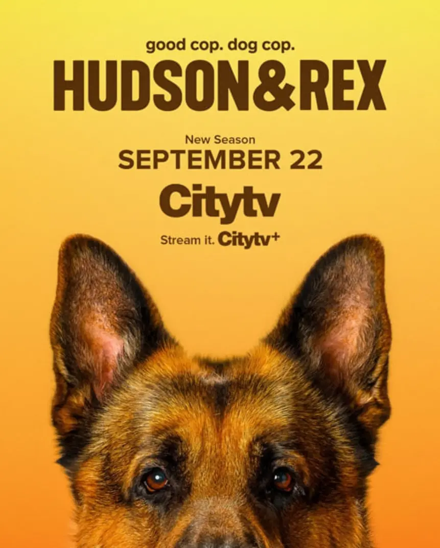 《哈德森与雷克斯 第八季》：警犬搭档的默契破案之旅，硬汉警探与忠诚伙伴的经典组合